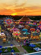 fair sex
